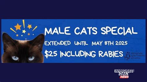 Wiregrass Spay/Neuter Alliance Extends Special for Male Cats ...