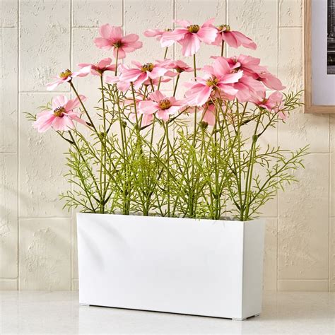 Buy Gloria Flora Artificial Cosmos Plant in Pot from Home Centre at ...