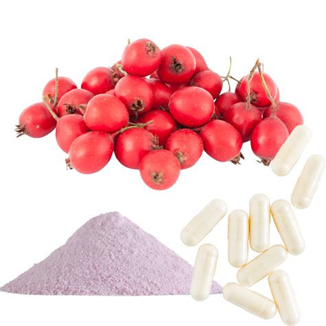 HAWTHORN BERRY EXTRACT