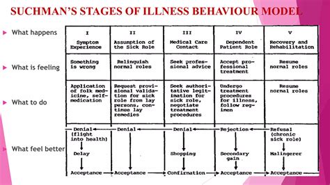 Stages Of Illness