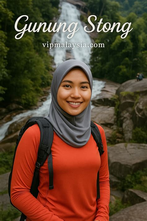 Image result for HTML Search Example