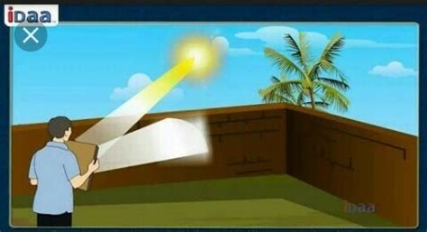 Physics working model on reflection of light - Brainly.in