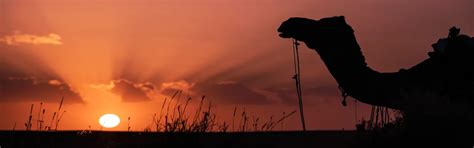 Rajasthan Caves – Explore Ancient & Sacred Rock Shelters | IndianPanorama