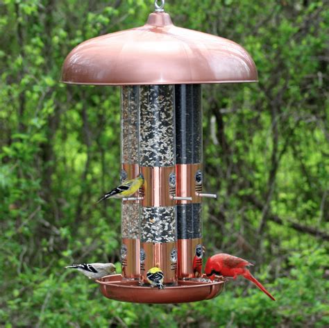 The Best Cardinal Bird Feeders and Birdseed - Birds and Blooms
