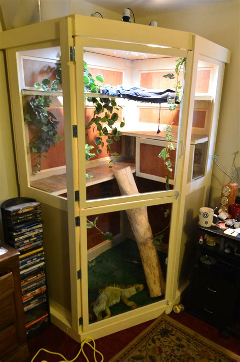 Newly Built Iguana Enclosure | Iguana cage, Iguana, Reptile habitat - habitat of iguana