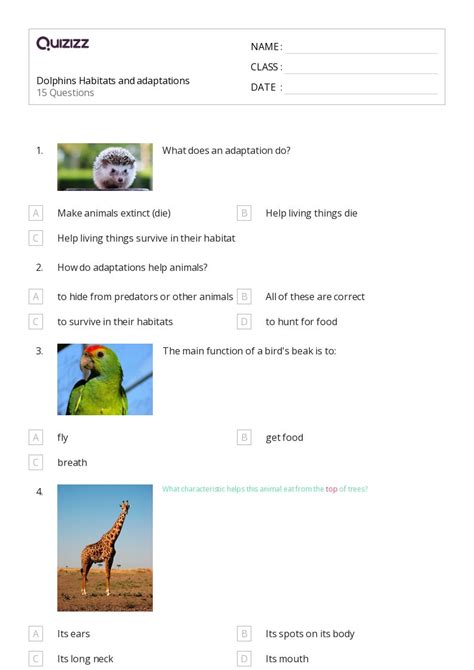 50+ Natural Selection and Adaptations worksheets for 1st Class on ...