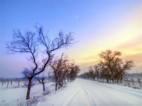 大雪覆盖，寒冷的冬天，道路，风景预览 | 10wallpaper.com