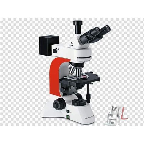 fluorescence microscope Fluorescent Microscope -B – laboratorydeal