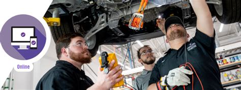 ASE Training 的图像结果