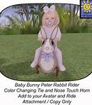 Image result for Baby Bunny Sitting