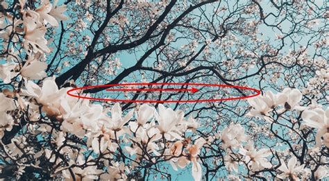 Image result for How to Make a New Gradient InDesign