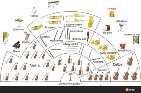 Image result for Orchestra Sections