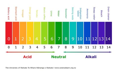 Ocean Acidification – Eco Sphere