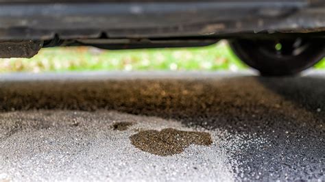 All You Need to Know About Brake Fluid Leak Repair Cost | AutoNation Mobile Service