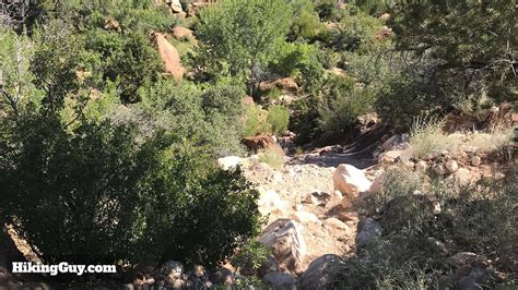 Hike First Creek Canyon Trail