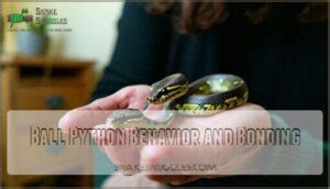 Ball Python Behavior 的图像结果
