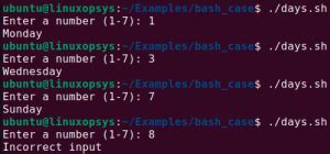 Image result for Shell Case Statement