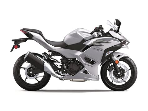 2025 Kawasaki Ninja 500 Guide | Total Motorcycle