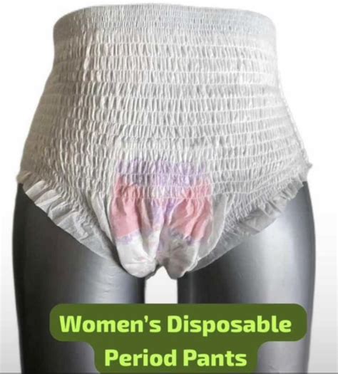 Disposable Period Panty Exporter, Supplier from Lucknow