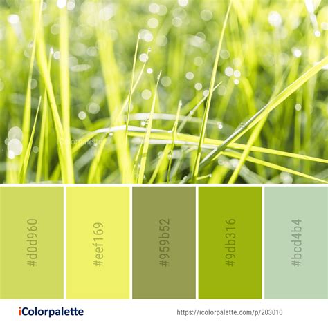 Grass Green Color Palette at Annie Geil blog