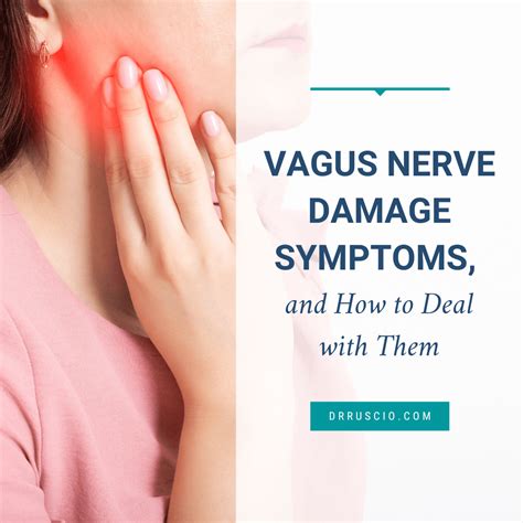 Vagus Nerve Damage Symptoms, and How to Deal with Them - Dr. Michael ...