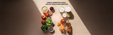 How Fiber and Fermented Foods Promote Gut Health and Digestion – NAKPRO ...