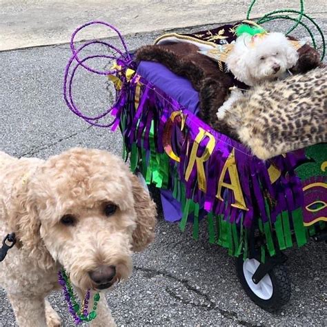 Image result for Shops Downtown Decatur Al