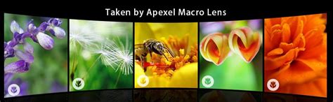Apexel 2 in 1 Wide Angle Macro Camera Lens Kit for iPhone X/8/7/6/6s ...