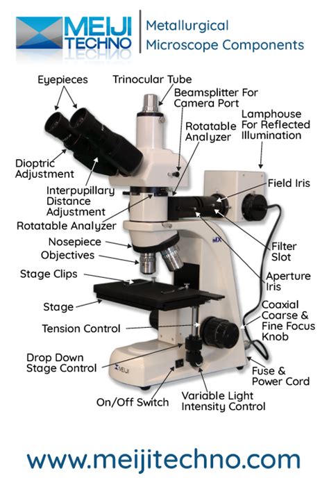 Microscope Terminology 的图像结果