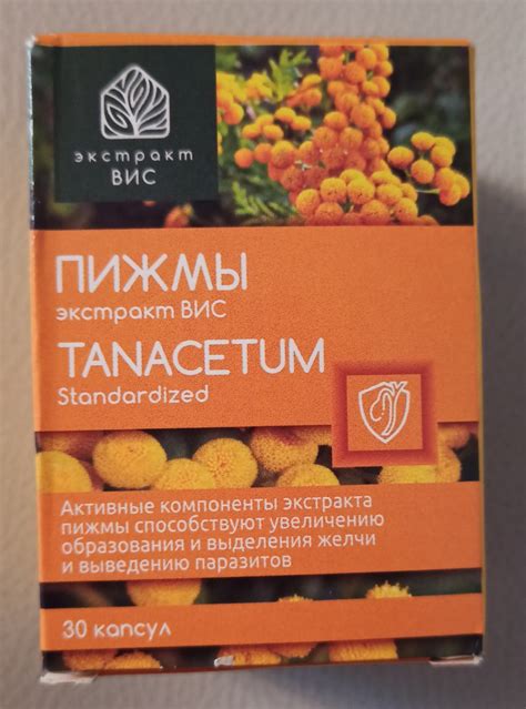 БАД ООО "ВИС" Экстракт Пижмы в капсулах | отзывы