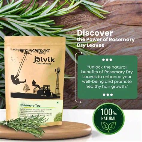 Rosemary Moringa Tea 100gm Each Pack of 2 – Jaivik Uttarakhnd