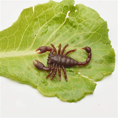 Buy Wendy Mall 20pcs/lot Simulation Plastic Bugs Fake Scorpion Prank ...