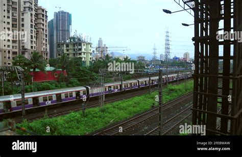 Blue Local Train 的图像结果