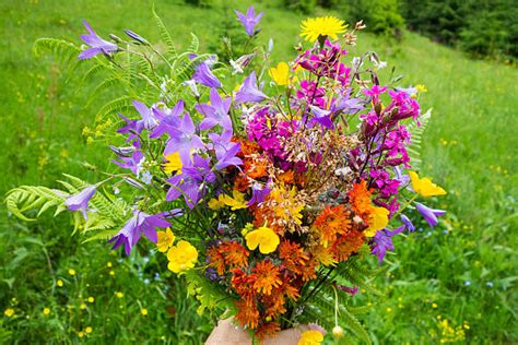Image result for Works Management System Examples