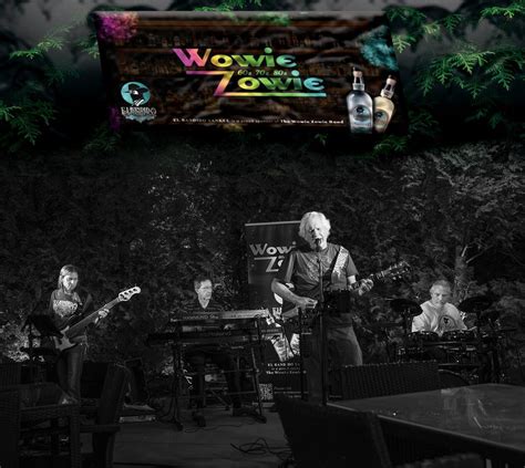 Wowie Zowie @ Mowies, Mowie's Cue, Springfield, March 15 2024 ...