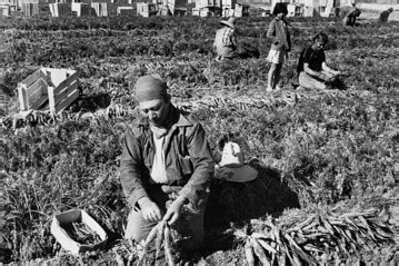 Image result for Alien Laborer