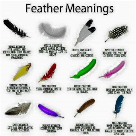 Unveiling the Sacred Symbolism: The Native American Feather’s Enigmatic Meaning