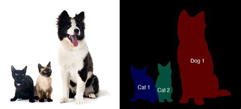 Glossary of Computer Vision Function Types | Nyckel