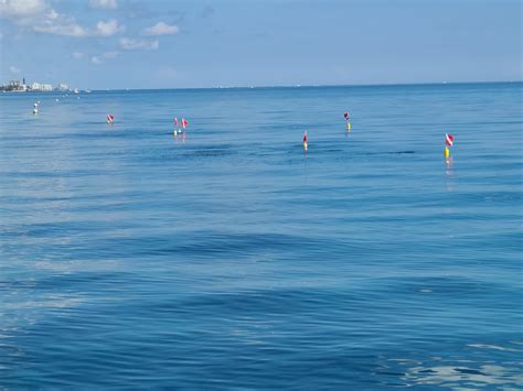 10-12-20 10 54 am - South Florida Diving Headquarters