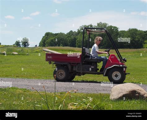 Woman farm worker at a Finger Lakes Region winery in Romulus, New York ...