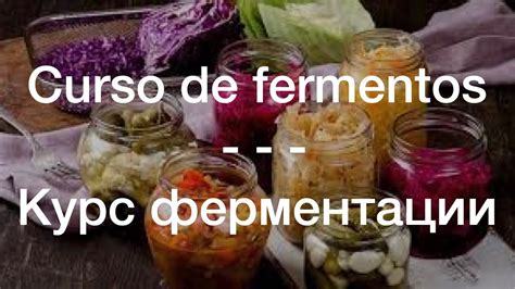 Curso de fermentos | Курс ферментации - YouTube