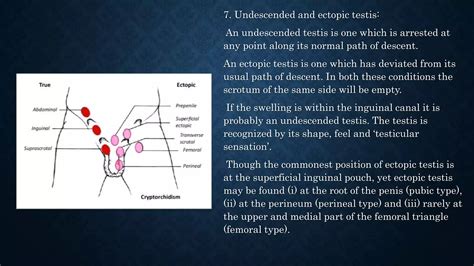 Image result for Evolutionary Algorithm Diagram
