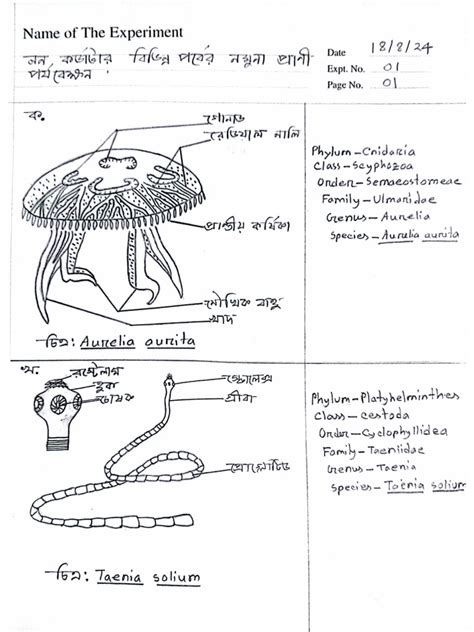 Biology Lab Lab Basic 1A 的图像结果