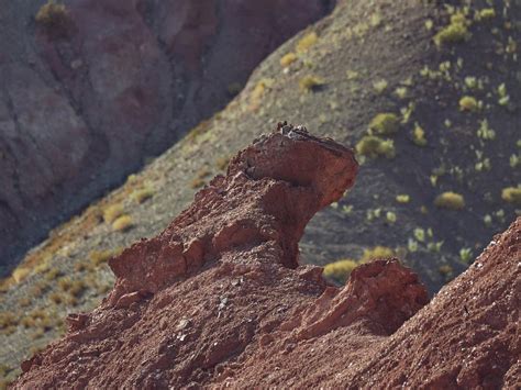 Image result for F-Stops Guide