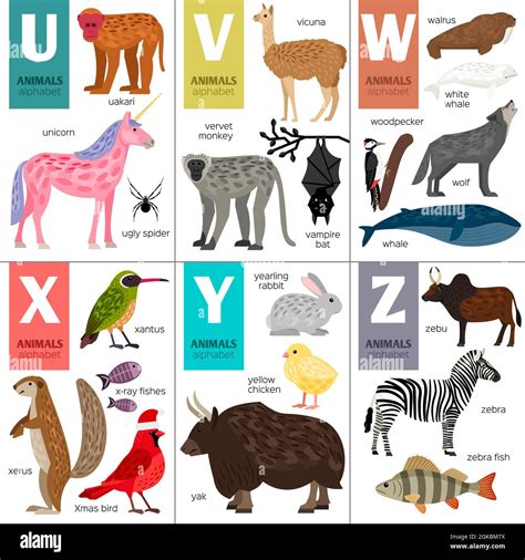 Animals That Start With U