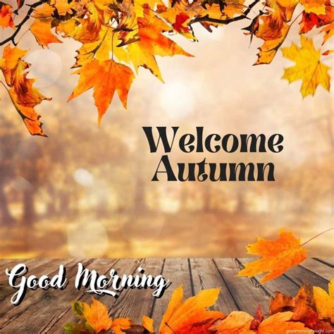 Good Morning Fall Good Morning Sunrise App On Amazon Appstore