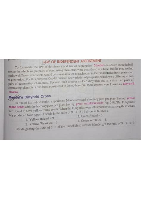 Law of independent assortment - cell biology and genetics - Studocu