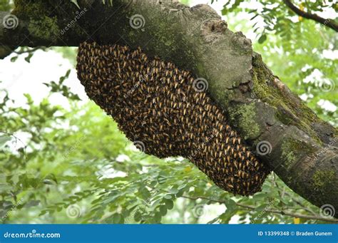 Image result for JavaScript Environment