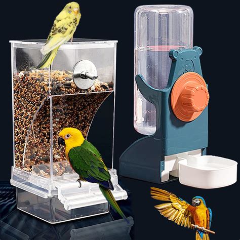 13 Best No Mess Bird Feeders for a Clean Outdoor Experience