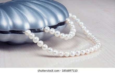 Image result for Clamshell Inside